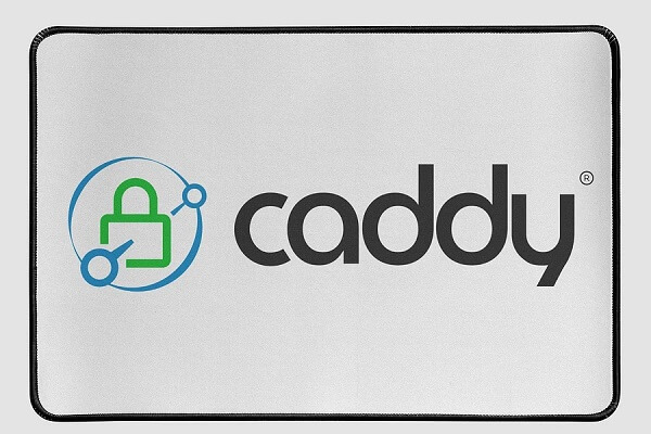 Caddy 2 Reverse Proxy Server with Docker and Docker Compose Example