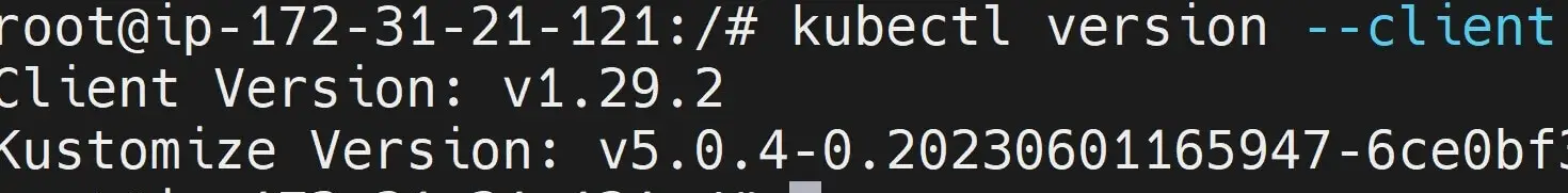 Install Kubectl on Ubuntu 20.04|22.04 using Kubernetes apt Repository