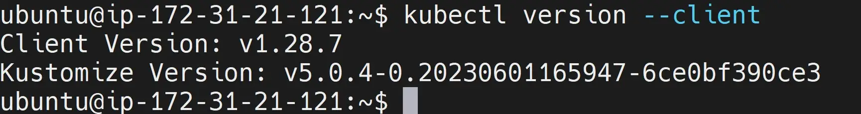 Installing Kubectl on Ubuntu using Snap