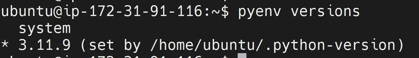 Installing Python 3.11 to Ubuntu using Source