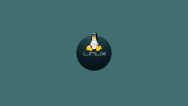 Installing Python3 pip 3 on Linux|Ubuntu with Sudo Apt Get