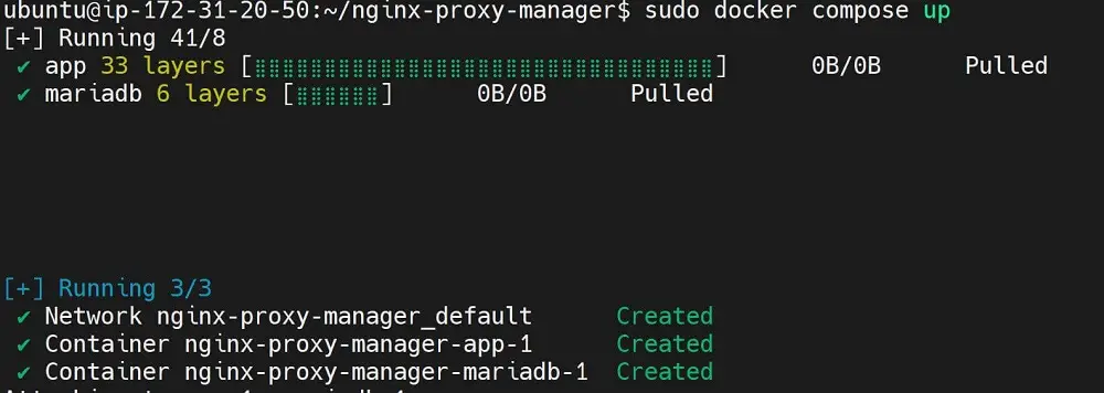 Running Docker Compose to deploy Nginx Proxy Manager