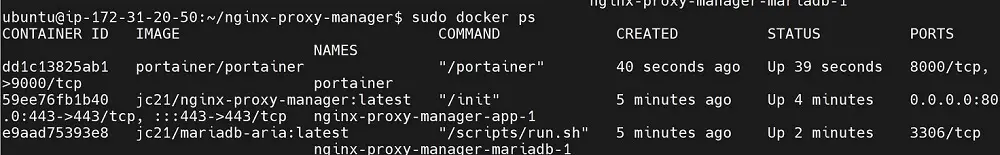 Running Docker Compose to deploy Nginx Proxy Manager