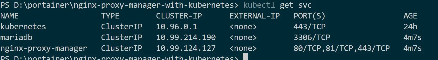 Running Nginx Proxy Manager with Kubernetes