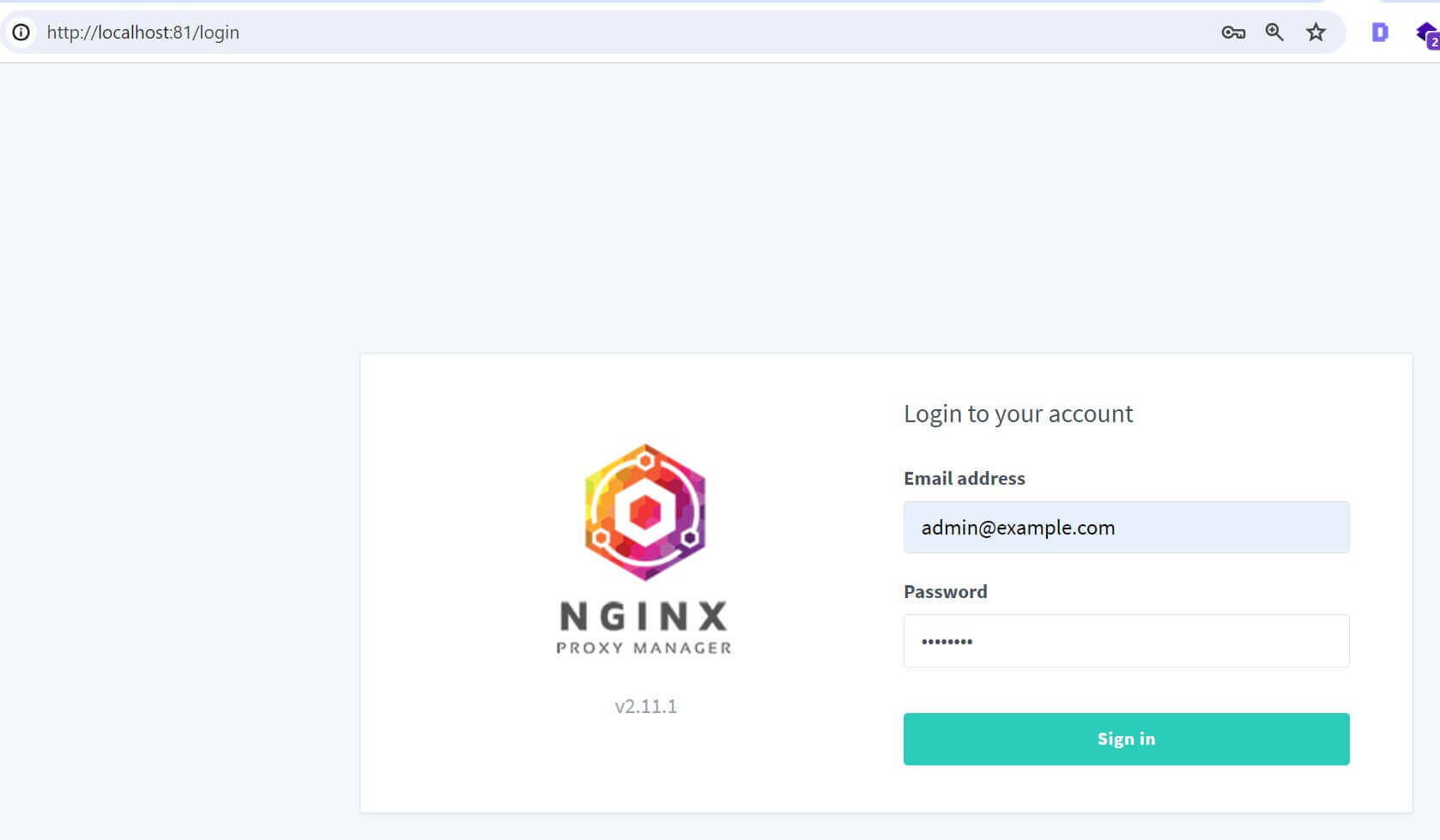 Accessing Nginx Proxy Manager On the Web