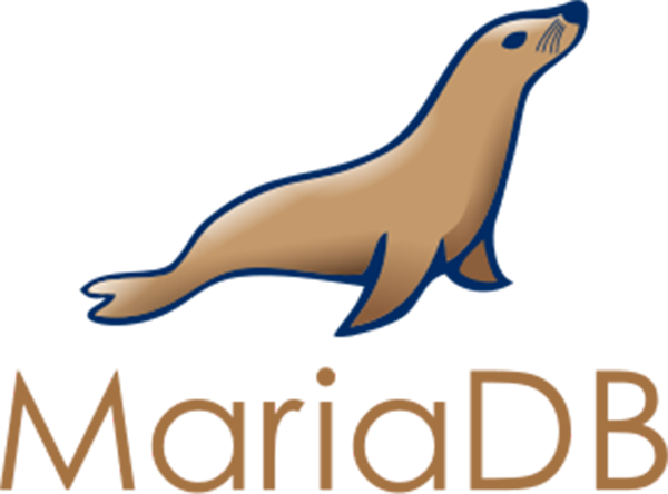 Easy Typeorm MariaDB Guide with Nest.js